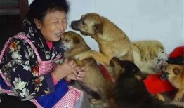 爆料救助狗狗视频播放,网友直播救助狗狗，温情满满引网友泪目