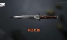 暗区近战武器最新爆料,神秘性能引发热议