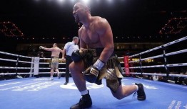 帕克最新爆料图片高清壁纸,揭秘神秘画面背后的故事